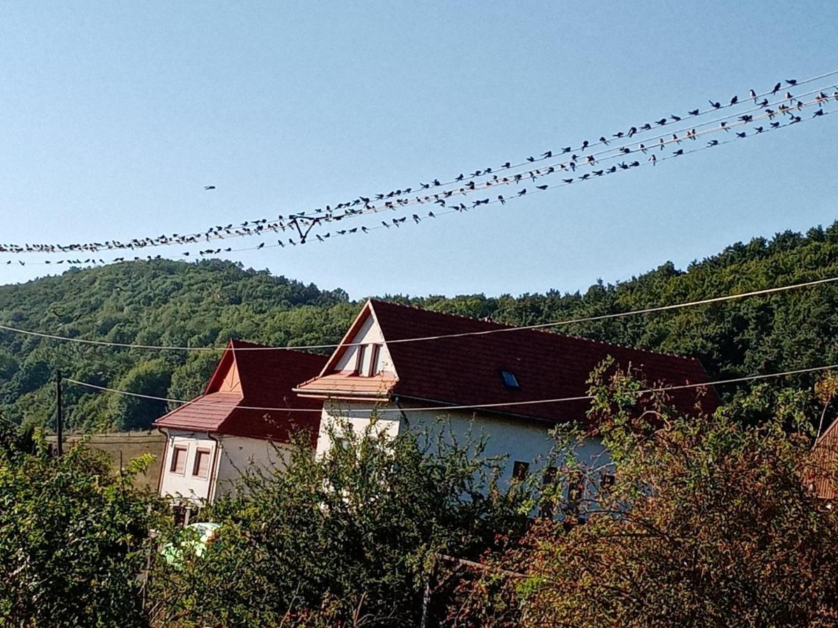 Kalaris Vendeghaz Daire Hollókő Dış mekan fotoğraf